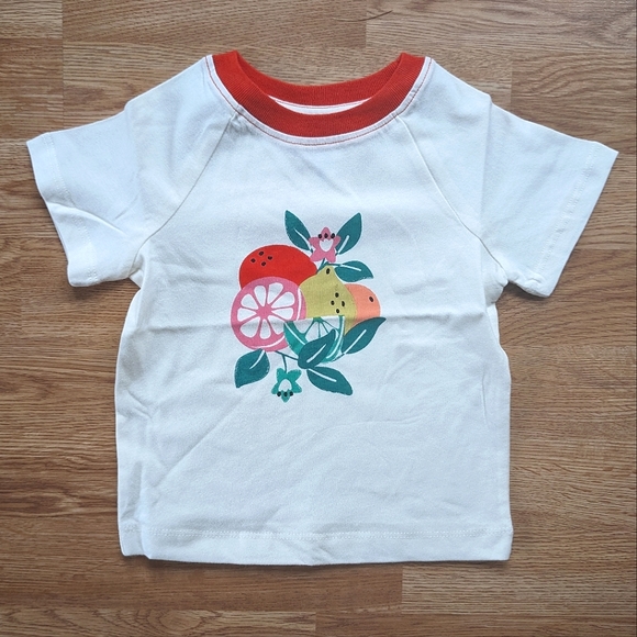 Hanna Andersson Baby Fruit Graphic Tee 18-24 Months - Picture 5 of 7